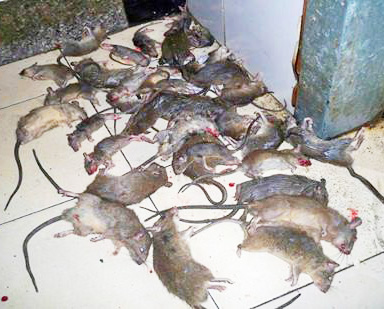 ,L(zhng)ɳй^(qing)к޹˾,L(zhng)ɳ˾,L(zhng)ɳ,L(zhng)ɳ,L(zhng)ɳкι˾,L(zhng)ɳx˾,L(zhng)ɳ빫˾,L(zhng)ɳĺ,L(zhng)ɳ,L(zhng)ɳρ,L(zhng)ɳȩ, Ϝ˾,Ϝ,Ϝ,кι˾,Ϛx˾,Ϝ빫˾,Ϝĺ,Ϝ,ϰρ,ϳȩ