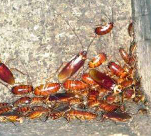 x/,L(zhng)ɳй^(qing)к޹˾,L(zhng)ɳ˾,L(zhng)ɳ,L(zhng)ɳ,L(zhng)ɳкι˾,L(zhng)ɳx˾,L(zhng)ɳ빫˾,L(zhng)ɳĺ,L(zhng)ɳ,L(zhng)ɳρ,L(zhng)ɳȩ, Ϝ˾,Ϝ,Ϝ,кι˾,Ϛx˾,Ϝ빫˾,Ϝĺ,Ϝ,ϰρ,ϳȩ