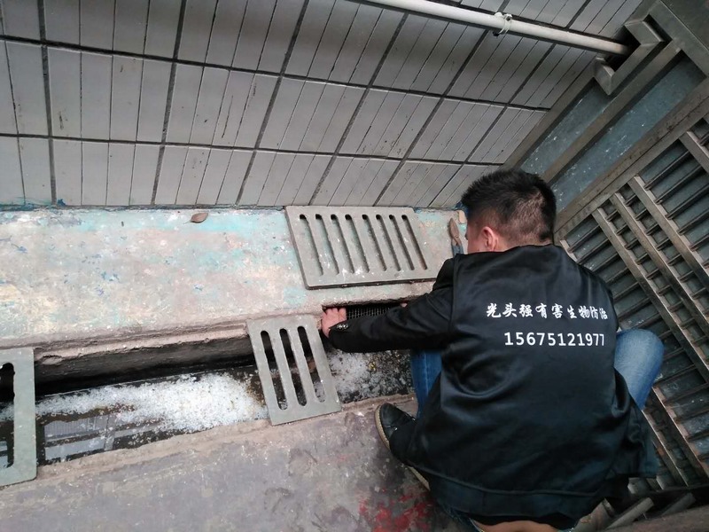 L(zhng)ɳxF(xin)(chng)