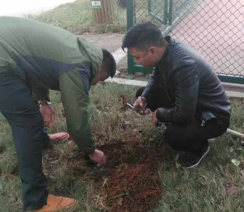 L(zhng)ɳράF(xin)(chng)